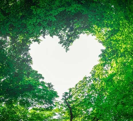 Associations et Fondations 