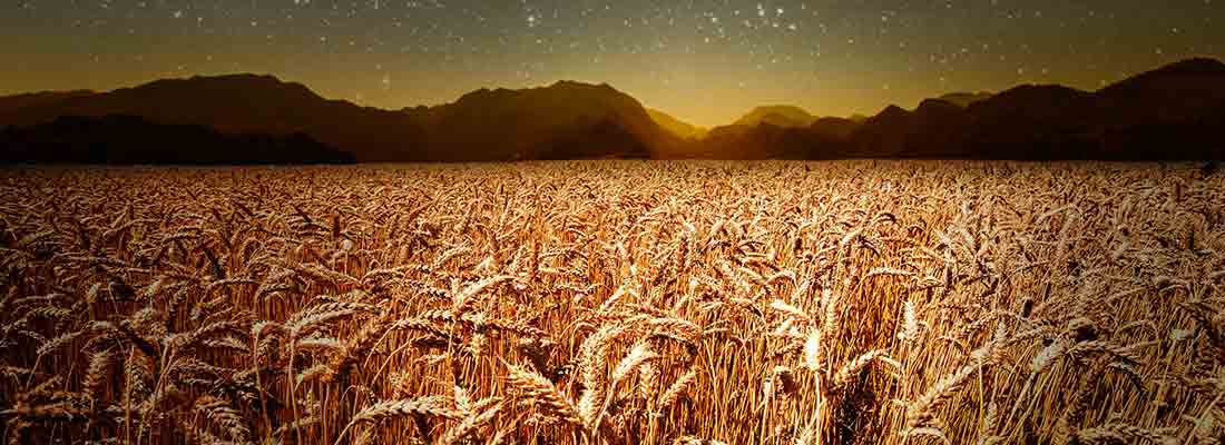 Regards croisés du secteur agroalimentaire