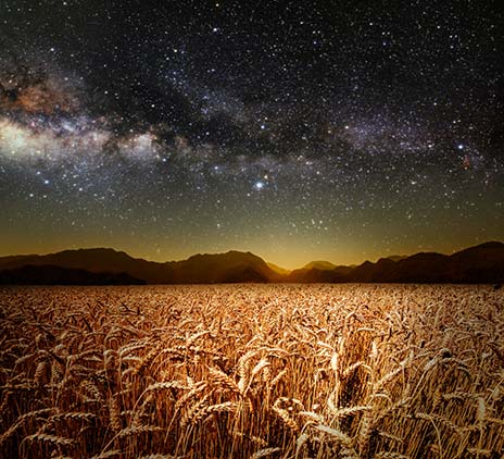 Regards croisés du secteur agroalimentaire